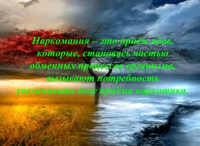 Screenshot_2024-09-07-16-48-49-14_21da60175e70af211acc4f26191b7a77